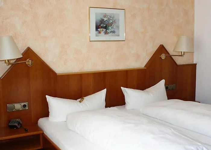 Schoene Aussicht 酒店 Gießen